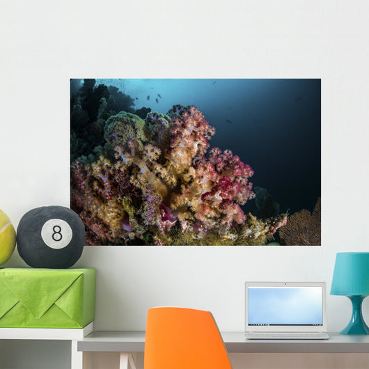 Colorful Soft Coral Reef Wall Decal