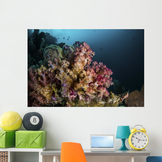 Colorful Soft Coral Reef Wall Decal