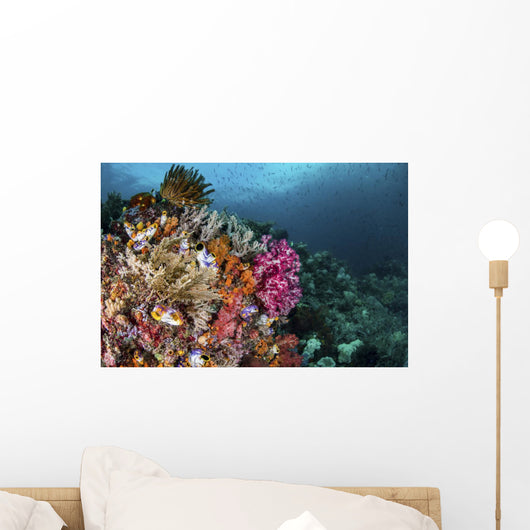 Colorful Coral Reef with Wall Decal