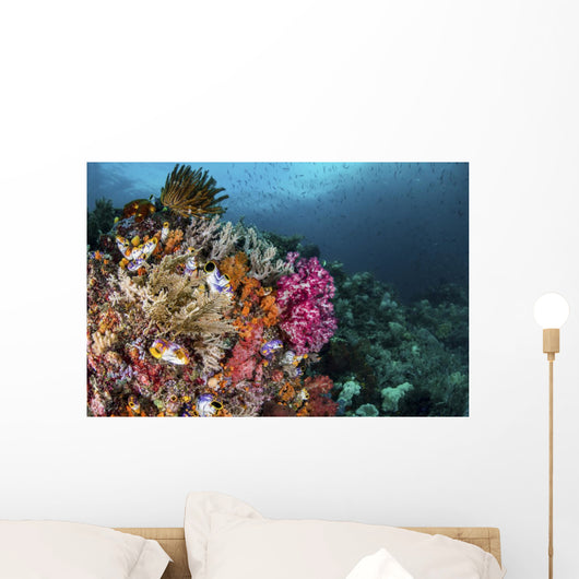 Colorful Coral Reef with Wall Decal