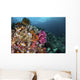 Colorful Coral Reef with Wall Decal
