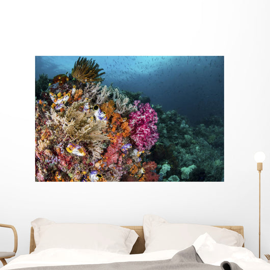 Colorful Coral Reef with Wall Decal