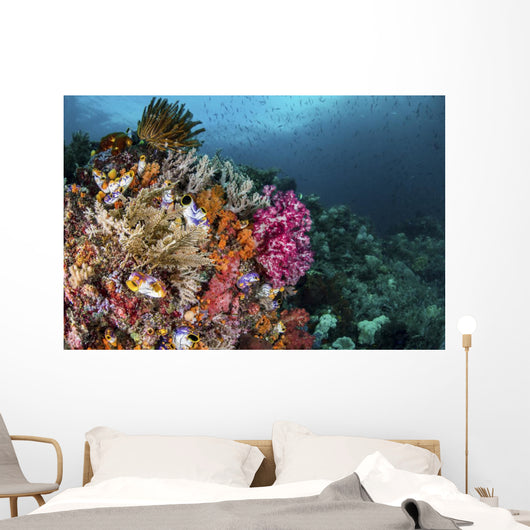 Colorful Coral Reef with Wall Decal