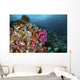 Colorful Coral Reef with Wall Decal