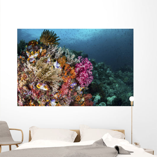 Colorful Coral Reef with Wall Decal