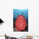 Two Fish Swim over Wall Decal