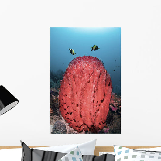 Two Fish Swim over Wall Decal