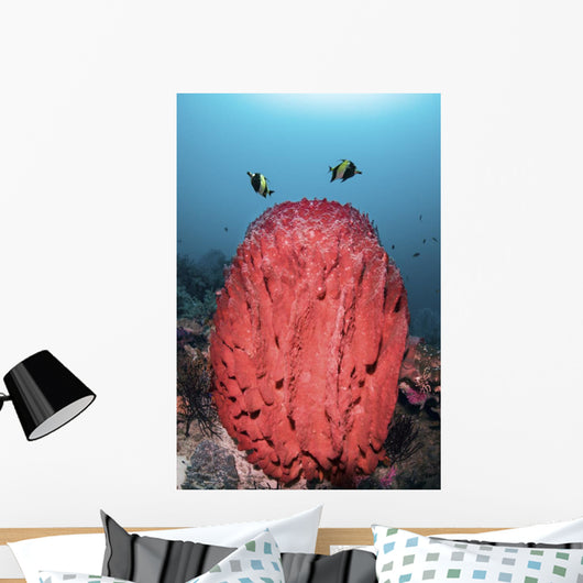 Two Fish Swim over Wall Decal