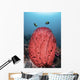 Two Fish Swim over Wall Decal
