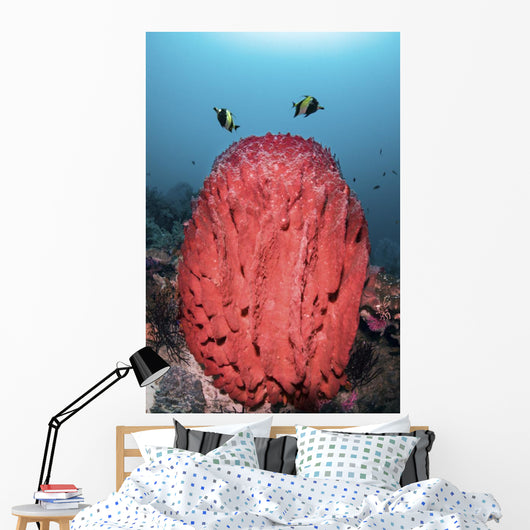 Two Fish Swim over Wall Decal