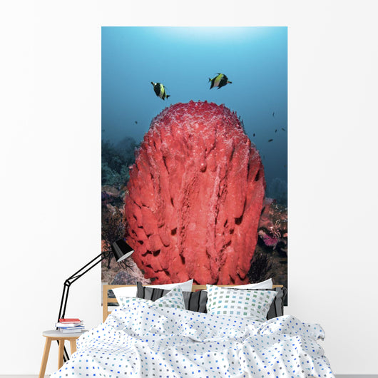 Two Fish Swim over Wall Decal