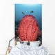 Two Fish Swim over Wall Decal