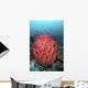 Fish Swim over Barrel Wall Decal