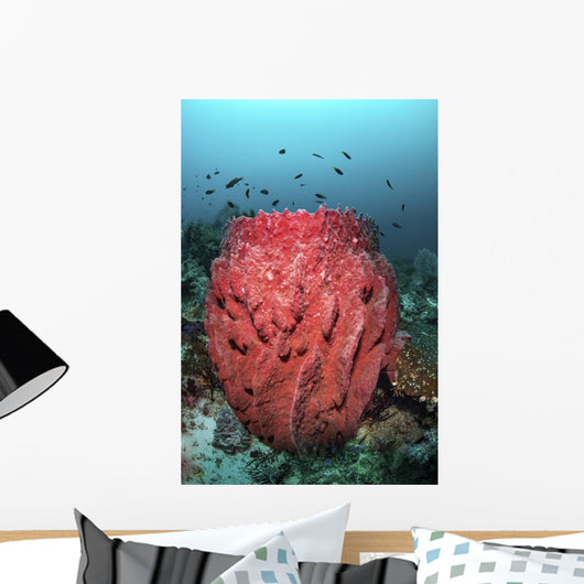 Fish Swim over Barrel Wall Decal