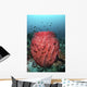 Fish Swim over Barrel Wall Decal