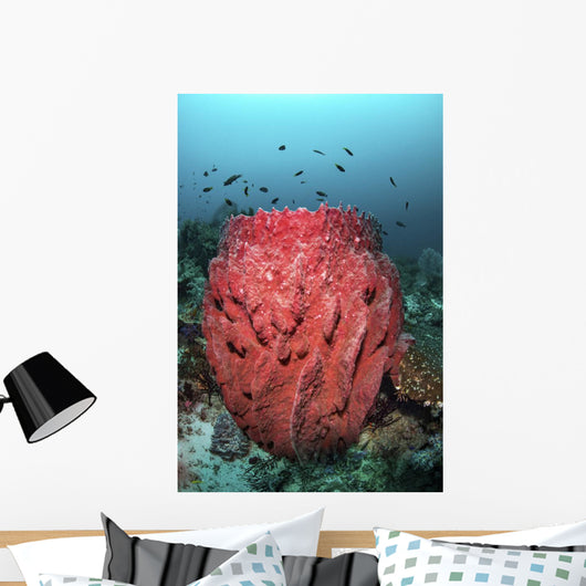 Fish Swim over Barrel Wall Decal