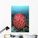 Fish Swim over Barrel Wall Decal