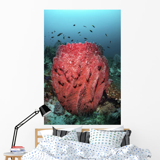 Fish Swim over Barrel Wall Decal