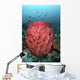 Fish Swim over Barrel Wall Decal