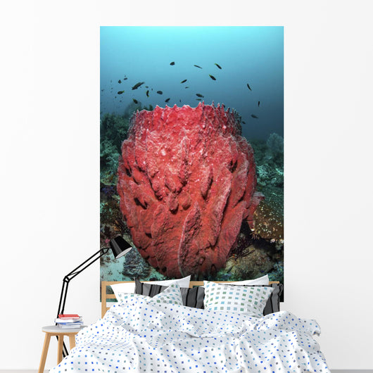 Fish Swim over Barrel Wall Decal