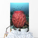 Fish Swim over Barrel Wall Decal