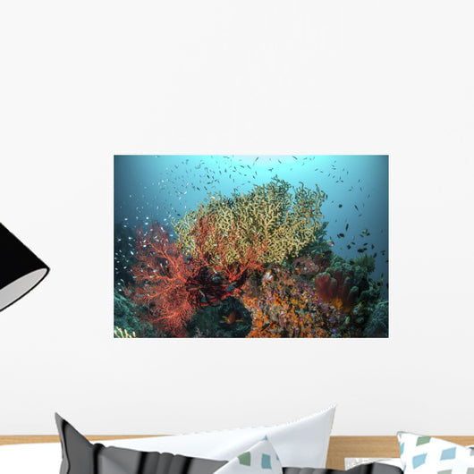 Coral Reef with Fish Wall Decal