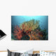 Coral Reef with Fish Wall Decal