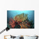 Coral Reef with Fish Wall Decal