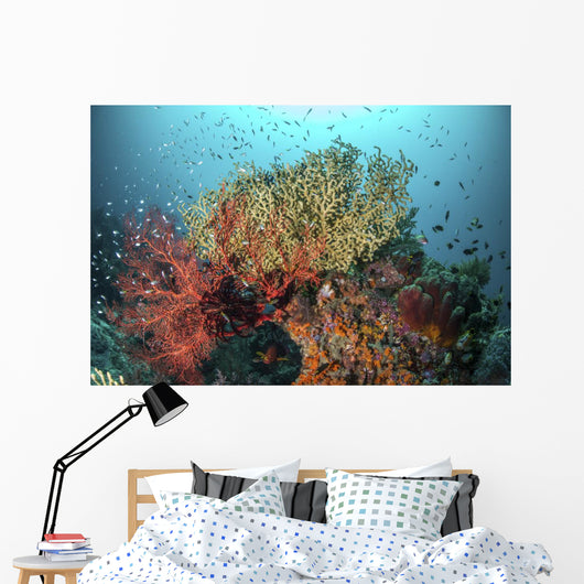 Coral Reef with Fish Wall Decal