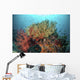 Coral Reef with Fish Wall Decal