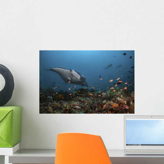 Giant Oceanic Manta Ray with Fish Wall Decal