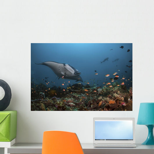Giant Oceanic Manta Ray with Fish Wall Decal