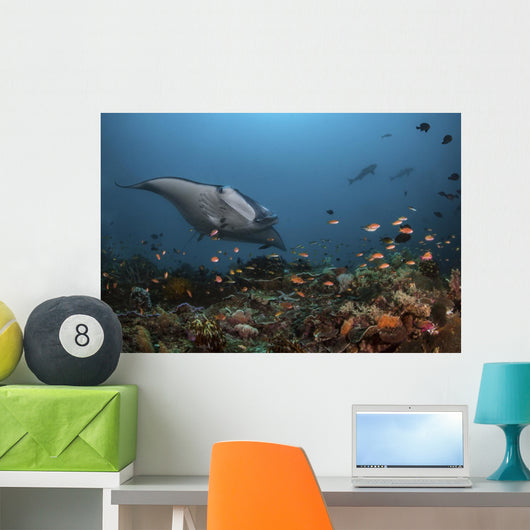 Giant Oceanic Manta Ray with Fish Wall Decal