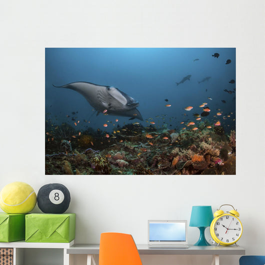 Giant Oceanic Manta Ray with Fish Wall Decal