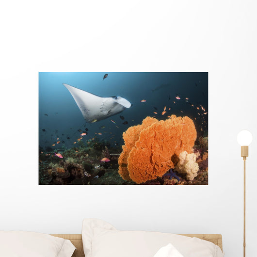 Giant Oceanic Manta Ray Wall Decal