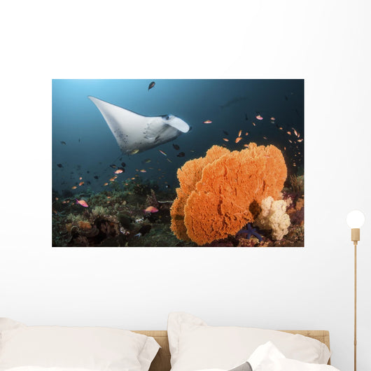 Giant Oceanic Manta Ray Wall Decal