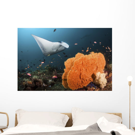 Giant Oceanic Manta Ray Wall Decal