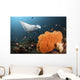 Giant Oceanic Manta Ray Wall Decal