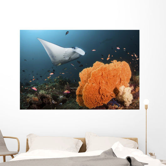 Giant Oceanic Manta Ray Wall Decal