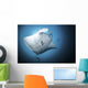Giant Oceanic Manta Ray Under View Wall Decal
