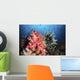 Soft Coral and Crinoids Wall Decal