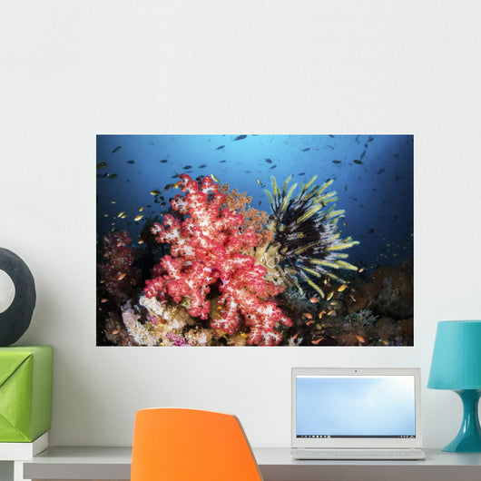 Soft Coral and Crinoids Wall Decal
