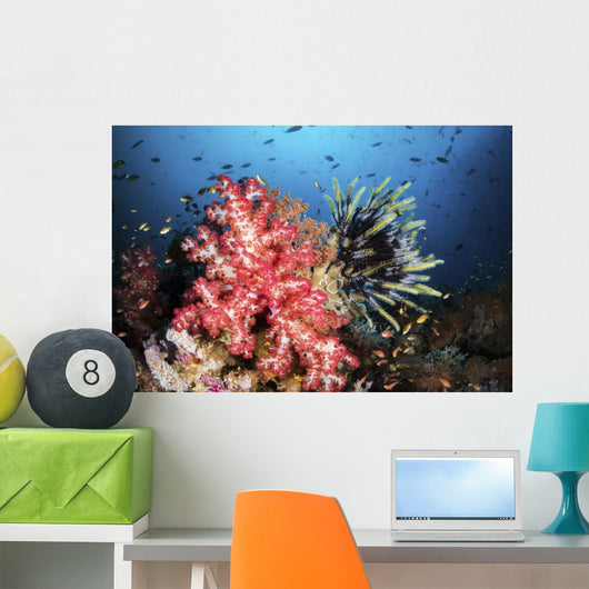 Soft Coral and Crinoids Wall Decal