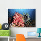 Soft Coral and Crinoids Wall Decal