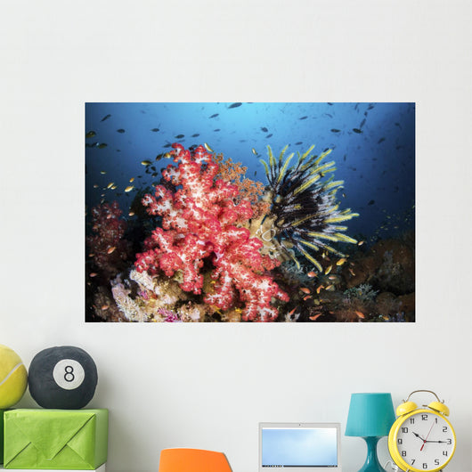 Soft Coral and Crinoids Wall Decal