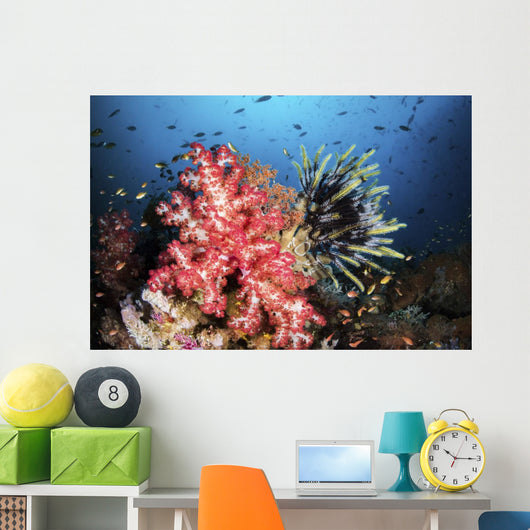 Soft Coral and Crinoids Wall Decal