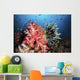 Soft Coral and Crinoids Wall Decal