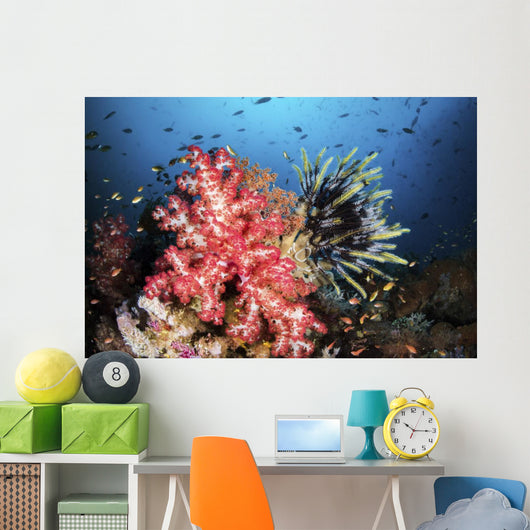 Soft Coral and Crinoids Wall Decal