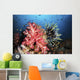 Soft Coral and Crinoids Wall Decal