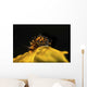 Tiny and Rare Placida Wall Decal